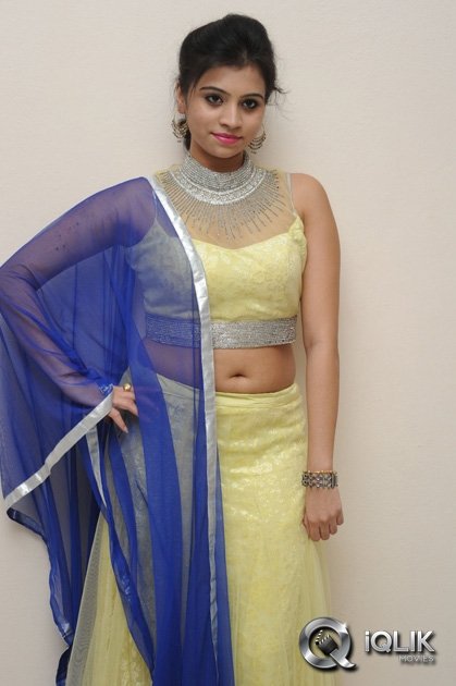 Priyanka-at-Adhee-Lekka-Movie-Platinum-Disc-Function